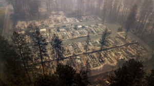 Read more about the article Human Tragedy in California
